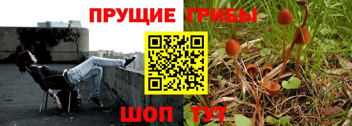 Галлюциногенные грибы GOLDEN TEACHER  купить наркотики цена  Калуга  Вход с VPN 