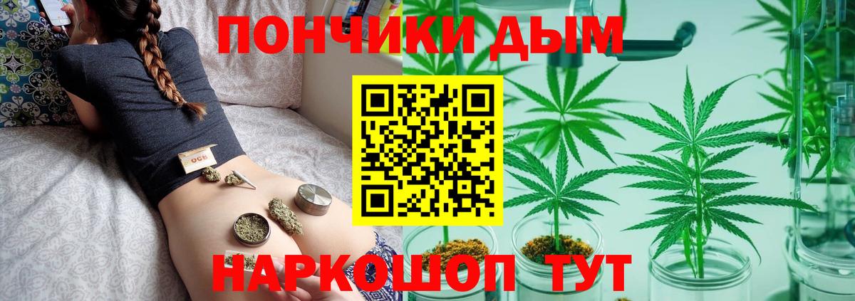 Шишки марихуана план  Вход с VPN  Калуга  Марихуана тримм 